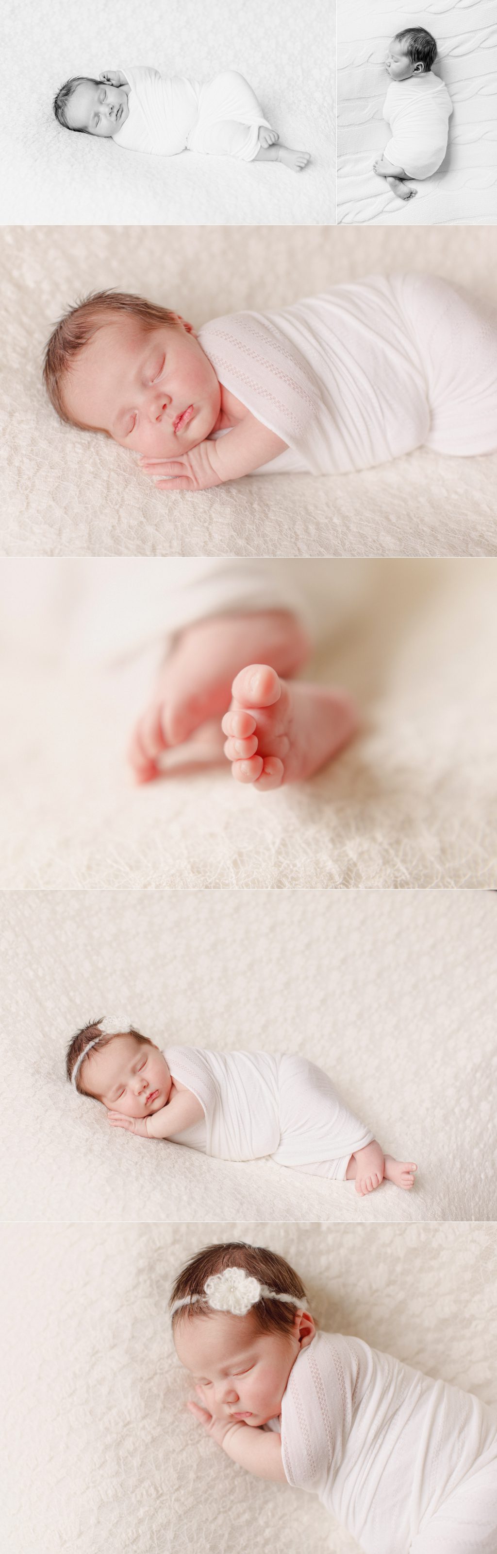 portraits of a six month old newborn in St. Louis 
