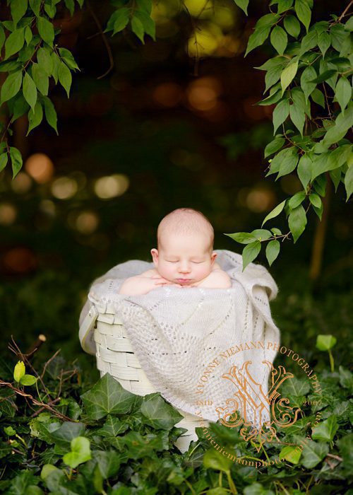 Outdoor portrait of a one week old newborn taken by Yvonne Niemann Photography in Olivette