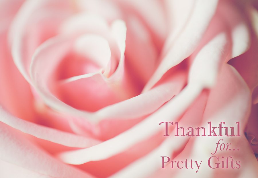 pretty-pink-rose